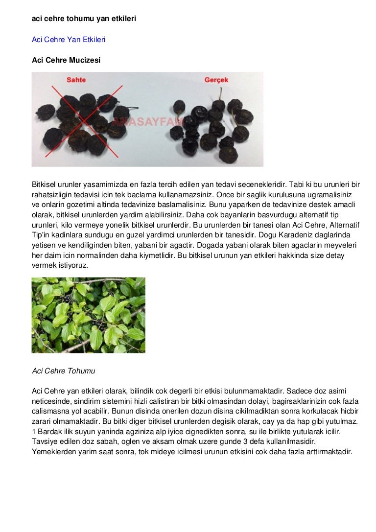 Acı Çehre Otu’ ile Zayıflama ve Yan Etkileri Nelerdir Acı Çehre Otu’ ile Zayıflama ve Yan Etkileri Nelerdir